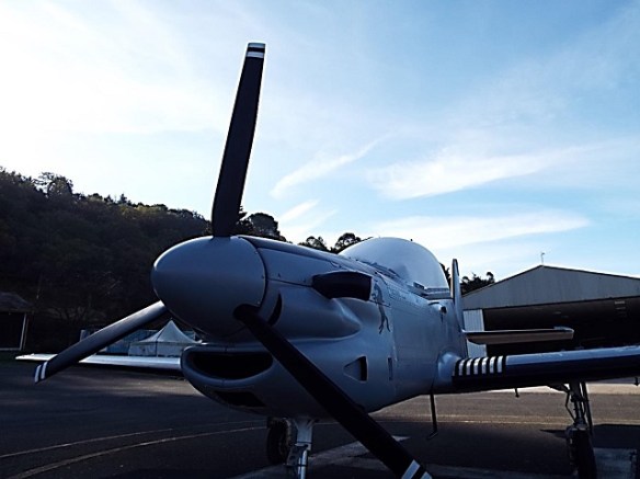 Tucano in the morning