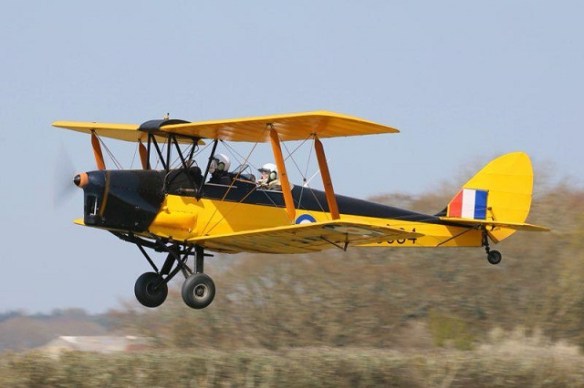 A side view of a yellow Tiger Moth in flight near the ground.